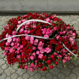 Роза кустовая пионовидные 101