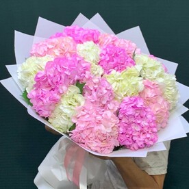 Гортензия 15 шт