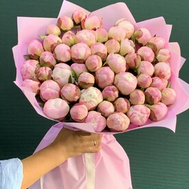 Пионы розовые 51