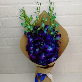 "Царство орхидеи"