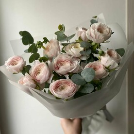 Аромат Прованса