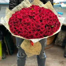 Леди в красном