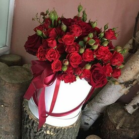 Атласное чудо