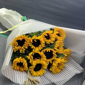 Солнечный пожар