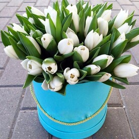 Коробка с тюльпанами
