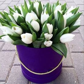 Коробка с тюльпанами