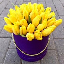 Солнечное утро.