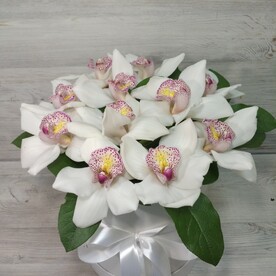 Орхидея в коробке