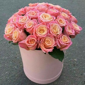 Мисс-пигги в коробке