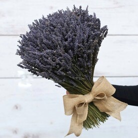 Лавандовый рай