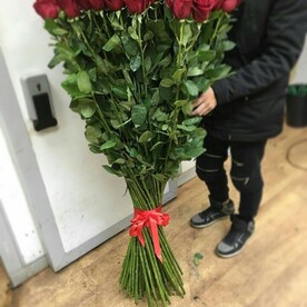 Гигант розы