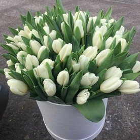 Тюльпан, Шляпная коробка