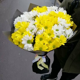 Хризантемы