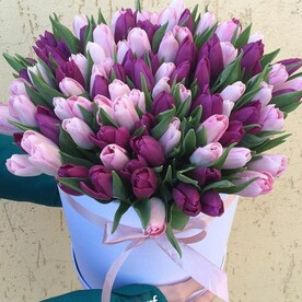 Тюльпан микс в коробке