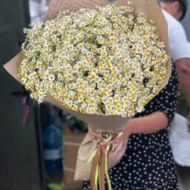 Любит-не-любит