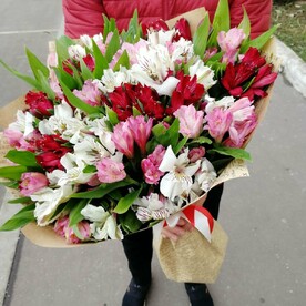 Альстромерия, Крафт