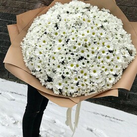 Снежная королева