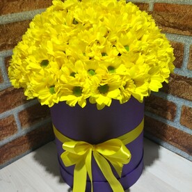 Весеннее чувство.