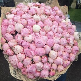 Букет из 101 пионов