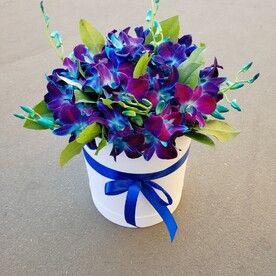 Расцвет красоты