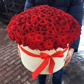 101 роза в шляпной коробке