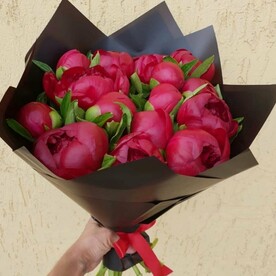 Алые красавцы