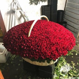 1001 розы в корзине