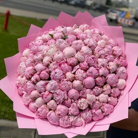 Розовые мечты