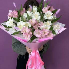 Милые альстромерии