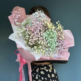 Гипсофила микс