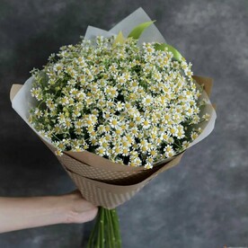 Букет из Матриакария