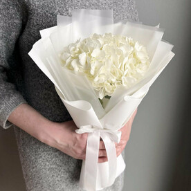 Белая гортензия | Мини букет- комплимент