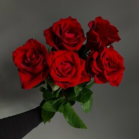 5 красных роз 60 см