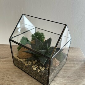 Флорариум с хавортией «Домик»