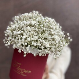 Цветы в коробке "Белое облачко" (гипсофила)