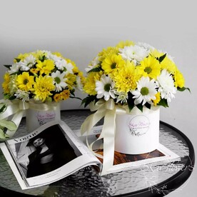 Композиция "Лиза"