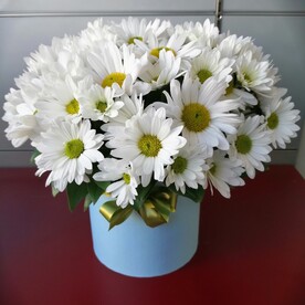 Коробочка Ромашковое поле