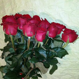 Алые розы 11 шт