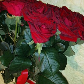 Классика 11 роз бордо