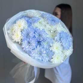 Большой букет из синих и белых кустовых хризантем