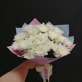 Хризантема кустовая