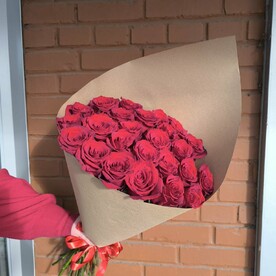 Роза сорта эксплоер 25 шт