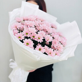 Цвета пудры