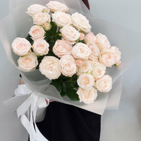 Мис Бамбастик