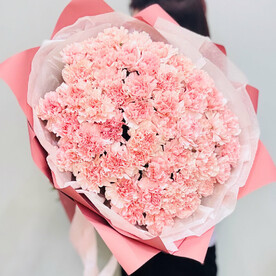 Моно диантусы