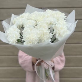 Белый диантус