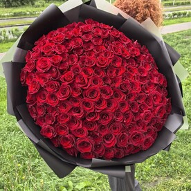 151 красная роза