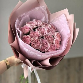 Розовые диантусы 15 шт