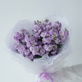 Букет из кустовой ароматной фиолетовой маттиолы, в дизайнерской упаковке, 9 веток