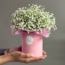 Гипсофила в коробке "Облачко". Гипсофила